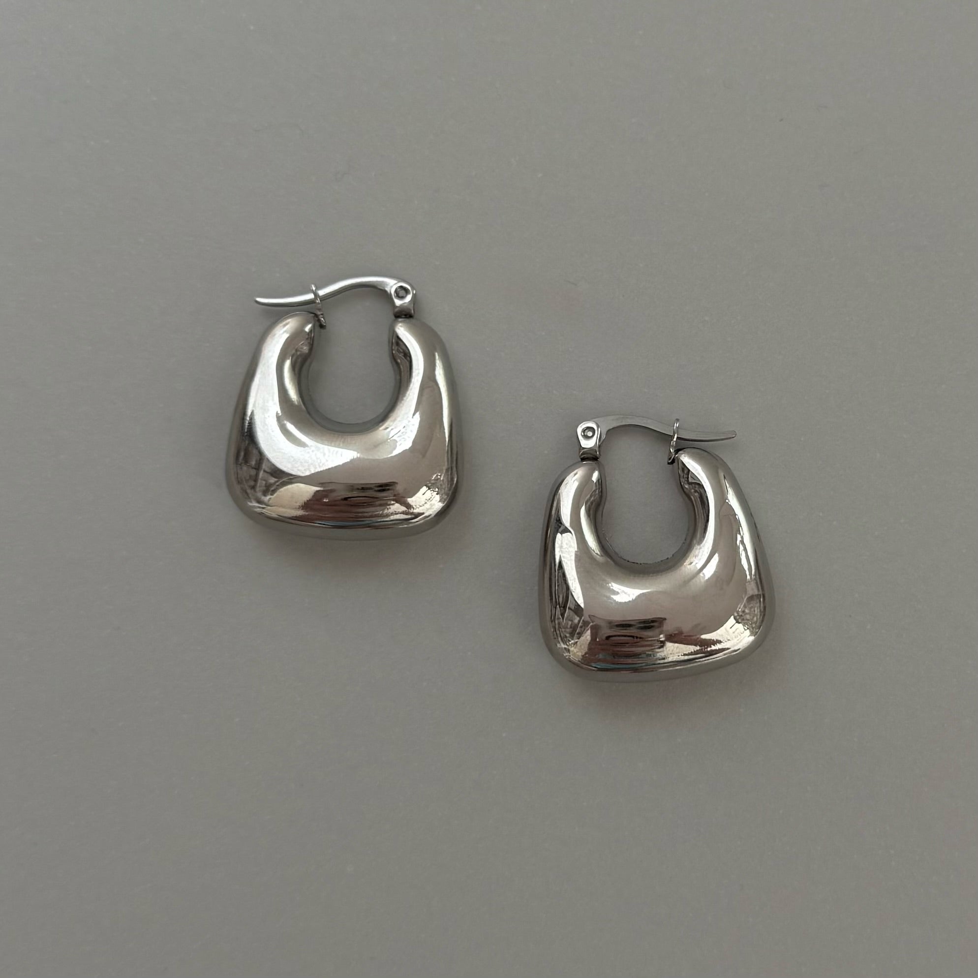 SILVER PURSE HOOP EARRINGS SAMPLE
