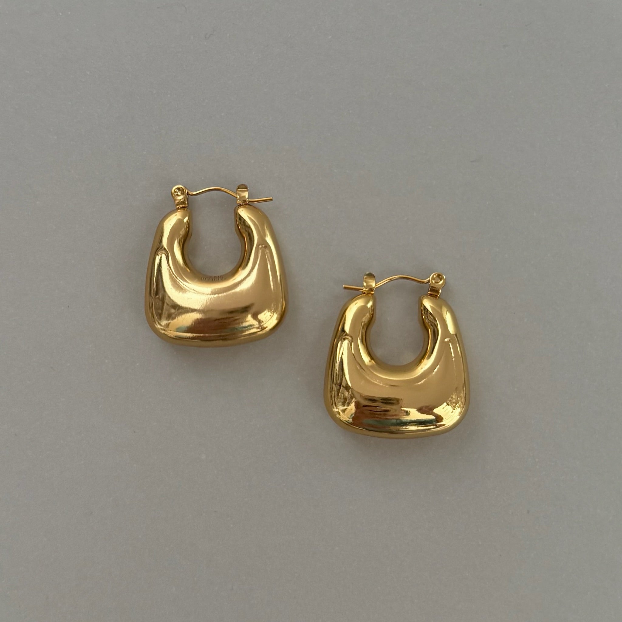 GOLD PURSE HOOP EARRINGS SAMPLE