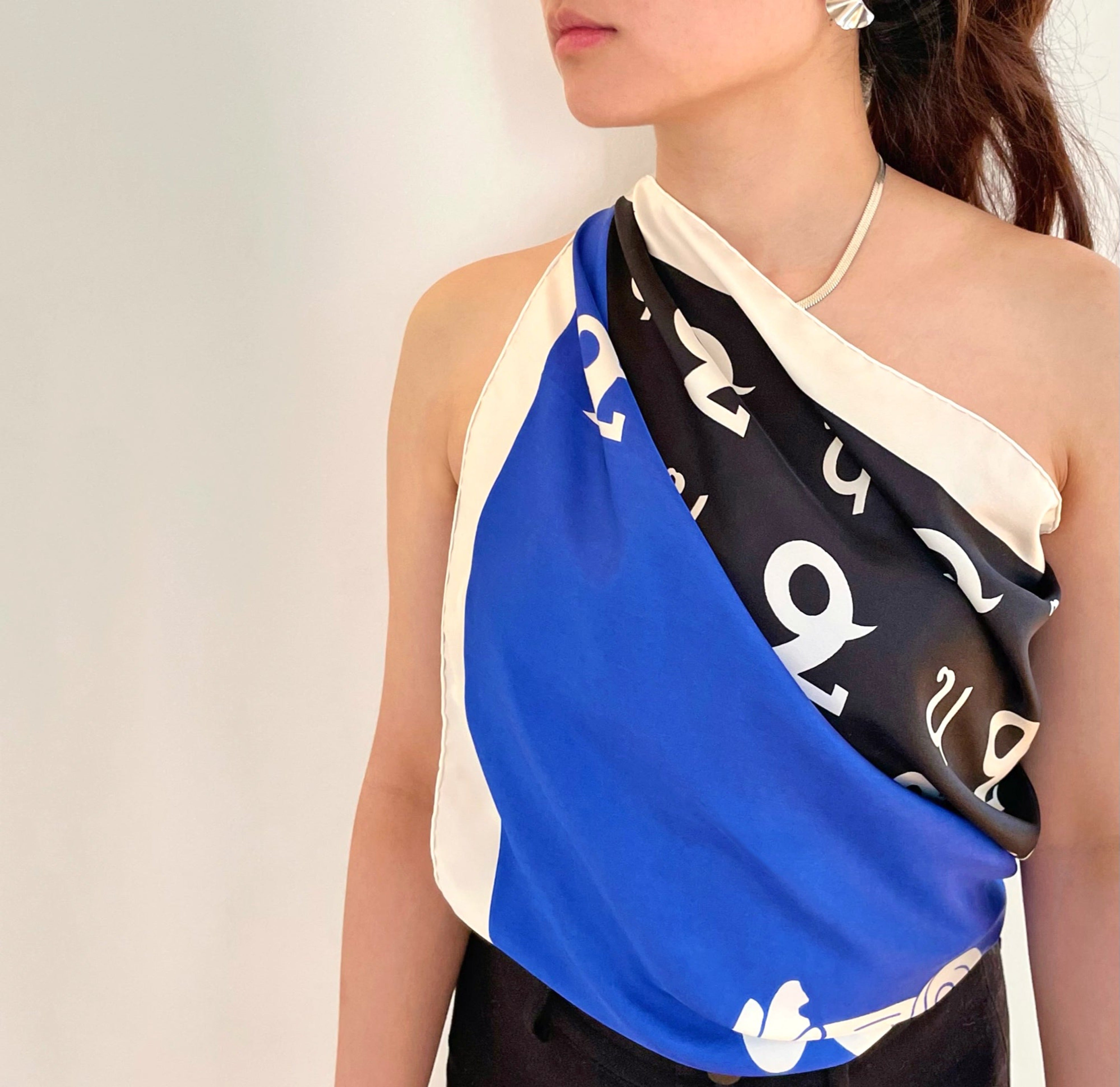 capricorn silk scarf