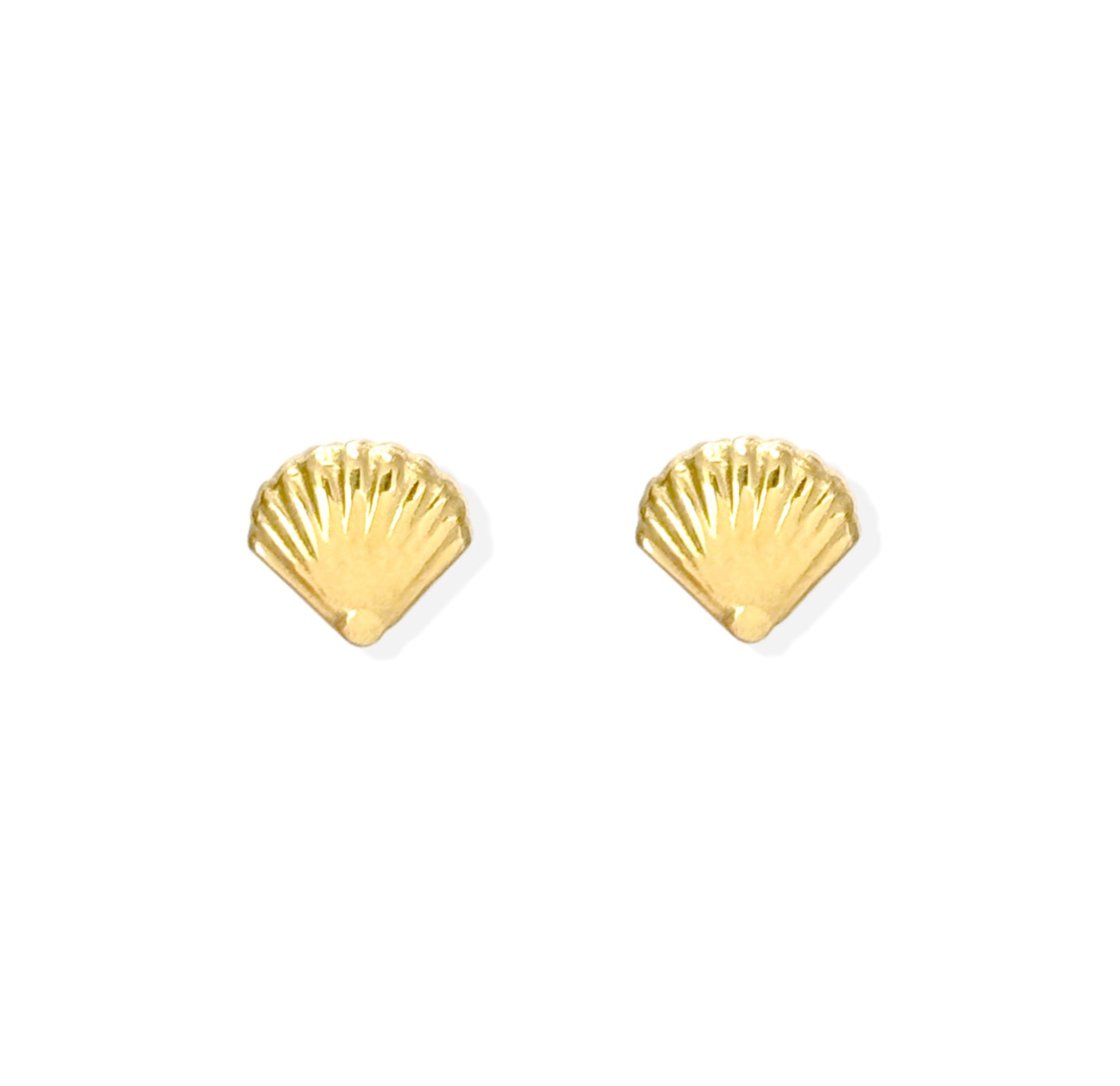 Dainty gold sea shell stud earrings